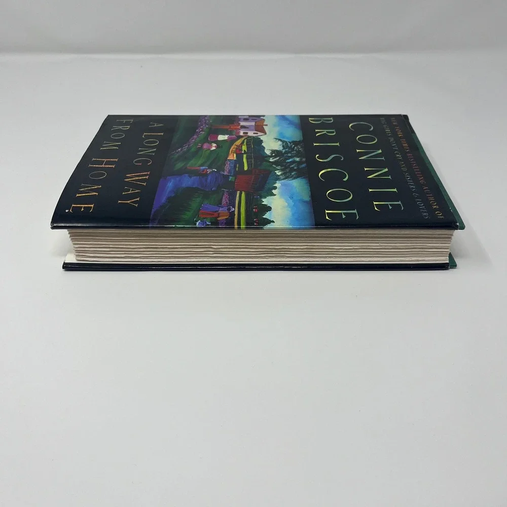 A Long Way from Home By Connie Briscoe 1999 Paperback‎ Novel Book Fiction